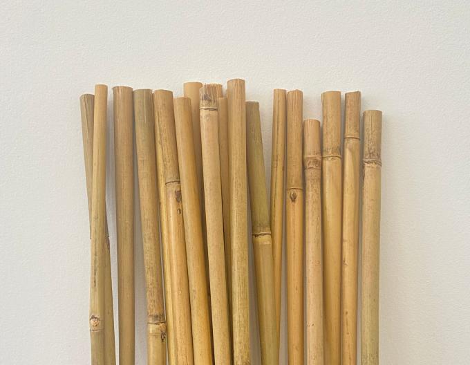 Eco-Friendly Bamboo Poles Toamto Beans Potted Plants for Indoor and Outdoor Plants 1
