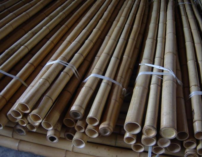 Natural Garden Stakes for Tomato , Bean , Flowers , Trees Potted and Climbing Plant Support 1