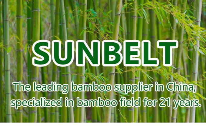 Transform Home With Sustainable Bamboo Floor Mat Anti Slip 0