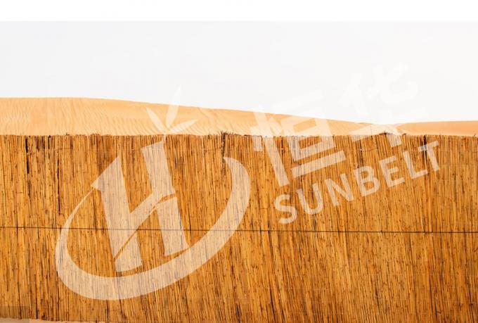 Reed Fence An Eco-Friendly and Versatile Way to Add Privacy and Shade 4