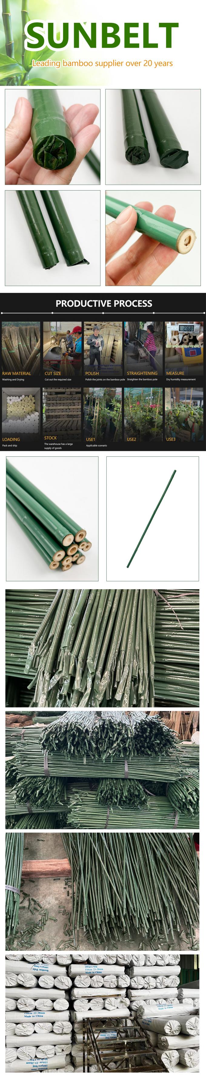Weatherproof Plastic Covered Bamboo Stake For Gardening / Outdoor 0