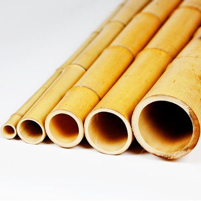 Eco Friendly 3 Inch Moso Bamboo Pole Bamboo Stakes For Plant Decoration Yellow