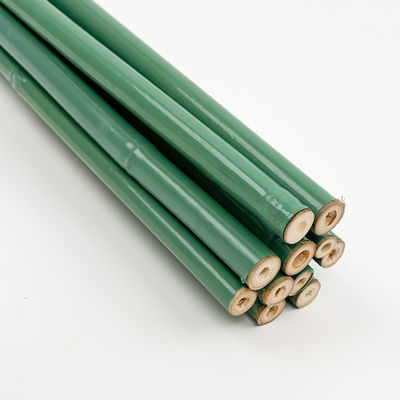 Plastic Coated Bamboo Poles Hand-made Green Black Coated Bamboo Stakes