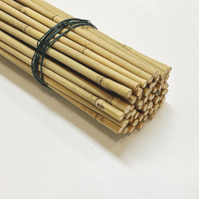 Eco-Friendly Bamboo Poles Toamto Beans Potted Plants for Indoor and Outdoor Plants