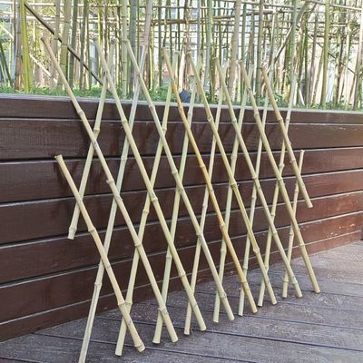 Natural Bamboo Expandable Garden Trellis & Fence for Outdoor Garden