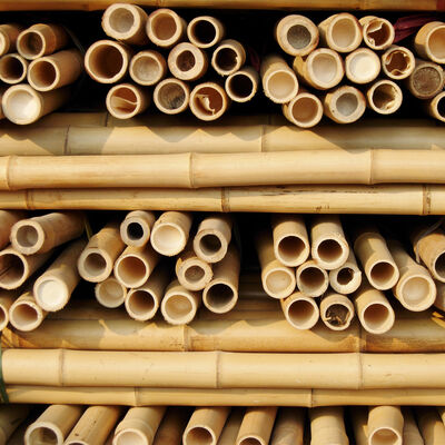Natural Treated Moso Bamboo Pole 3 Meters Long 6-8cm Diameter for DIY Construction Fencing Gardening and Decorative Projects