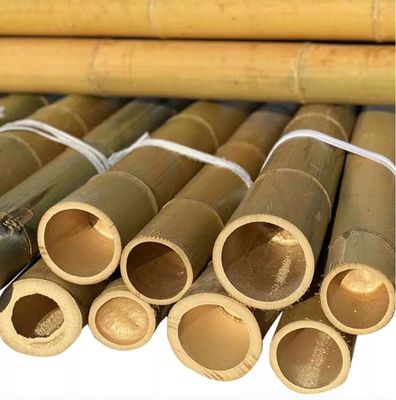 18mm To 160mm Diameter Moso Bamboo Pole Construction Garden Agriculture Field Bamboo Cane