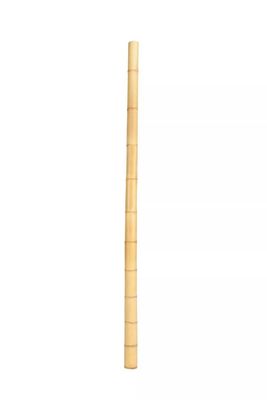 Nature Raw Bamboo Straight Bamboo Poles For Garden Farm Plant Support Building