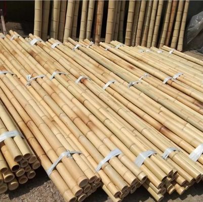 प्राकृतिक कच्चे मोज़ो बांस के ध्रुव 2cm 3cm 4cm 5cm 6cm 8cm 10cm व्यास