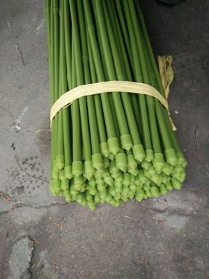 40cm 60cm 90cm 120cm Length Green Bamboo Poles Painting Green