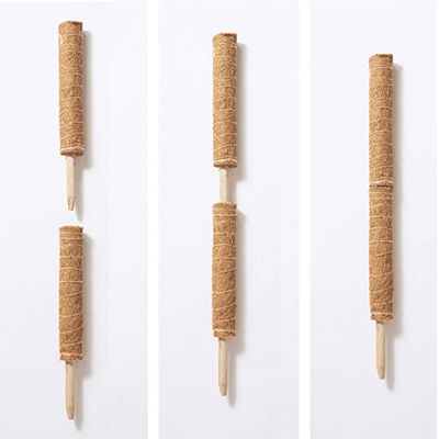 Moss Pole For Climbing Plants 30cm 40cm 60cm 90cm Natural Coconut Coir Totem Support Stake