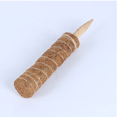 Moss Pole For Climbing Plants 30cm 40cm 60cm 90cm Natural Coconut Coir Totem Support Stake