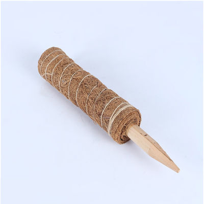 Moss Pole For Climbing Plants 30cm 40cm 60cm 90cm Natural Coconut Coir Totem Support Stake