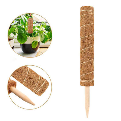 Moss Pole For Climbing Plants 30cm 40cm 60cm 90cm Natural Coconut Coir Totem Support Stake