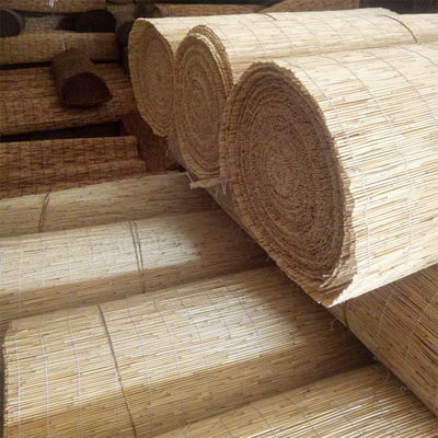 Light Weight Decorative Rolled Reed Fence Eco Friendly Natural Panels Roller For Yard