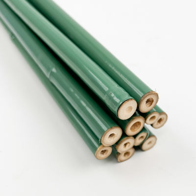 40cm 60cm 90cm 120cm Length Green Bamboo Poles Painting Green
