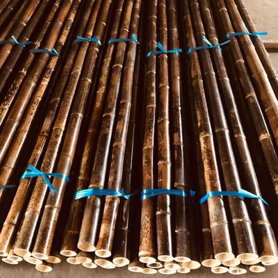 Anti Mould Painted Bamboo Stakes Colourful Plant Tonkin Carbonized 250cm