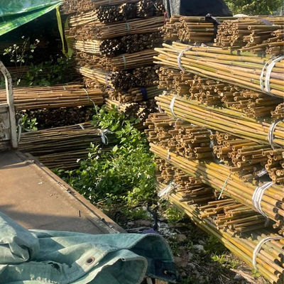 Eco Friendly 3 Inch Moso Bamboo Pole Bamboo Stakes For Plant Decoration Yellow