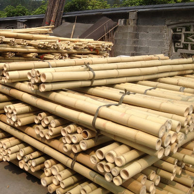 Eco Friendly 3 Inch Moso Bamboo Pole Bamboo Stakes For Plant Decoration Yellow