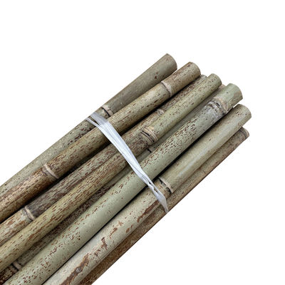 Yellow Nature Raw Outdoor Bamboo Poles Dry Bamboo Poles 2m 3m 4m