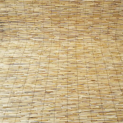 Light Weight Decorative Rolled Reed Fence Eco Friendly Natural Panels Roller For Yard