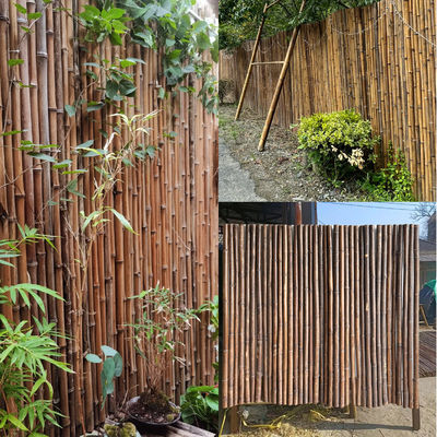 200x100 Decorative Bamboo Fence