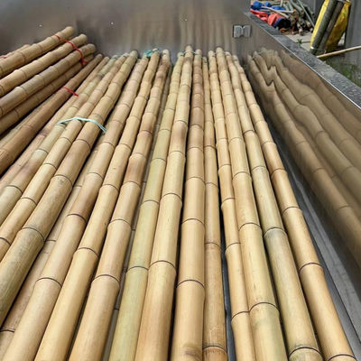 Plant Stakes Natural Garden Bamboo Sticks for Indoor and Outdoor, support for Tomatoes, Beans, Potted Plants