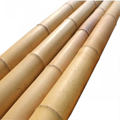 Strong Bamboo Pole for Plant Support Construction and Handicrafts