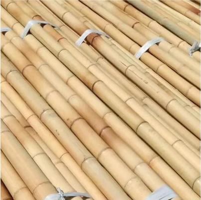 595cm Long Moso Bamboo Pole Eco-friendly Straight and Sturdy Bamboo Raw Material for Garden Construction