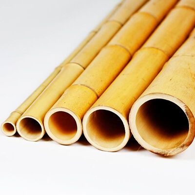 Natural Treated Moso Bamboo Pole 3 Meters Long 6-8cm Diameter for DIY Construction Fencing Gardening and Decorative Projects