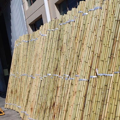 Eco Friendly Decorative Raw Bamboo Poles Dia.0.8cm x 100cm Length