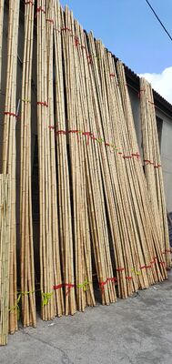 Eco Friendly Decorative Raw Bamboo Poles Dia.0.8cm x 100cm Length